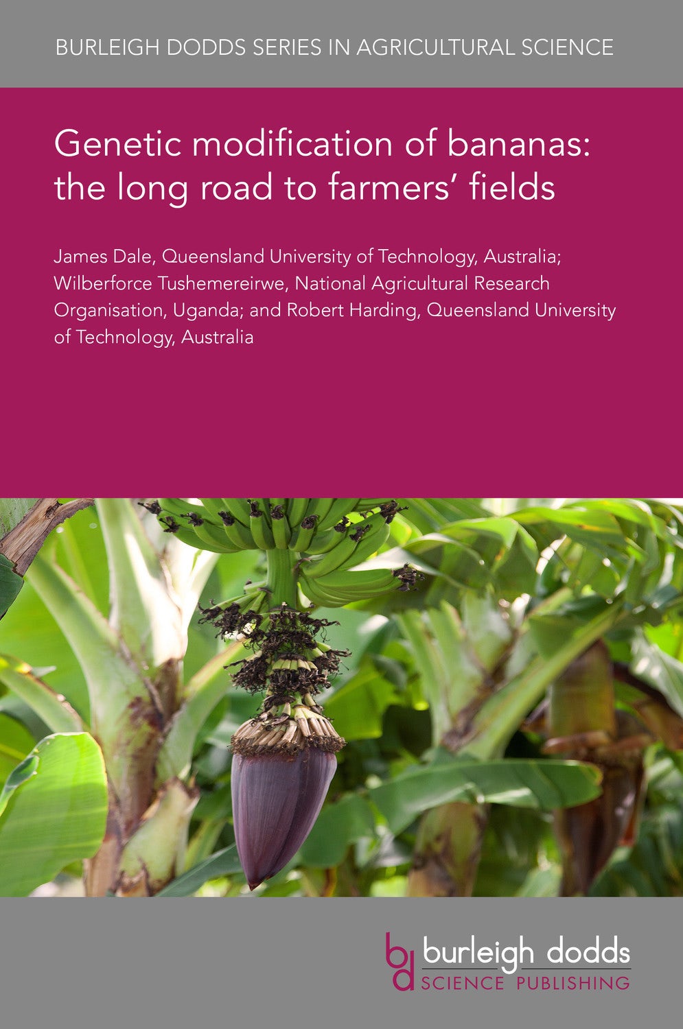 Book cover image for Genetic modification of bananas: the long road to farmers’ fields ISBN: 9781786769497